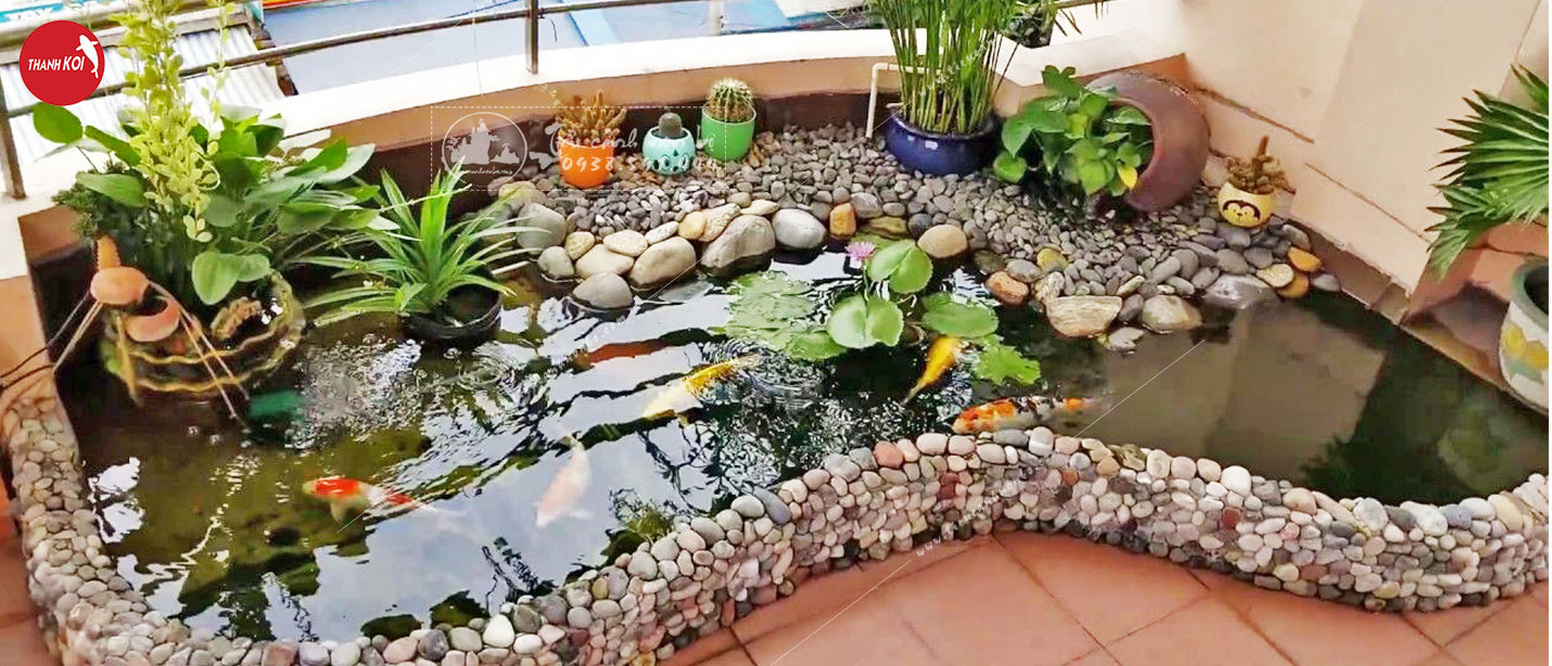 Thiết kế hồ cá koi tại non bộ Thanh Sơn